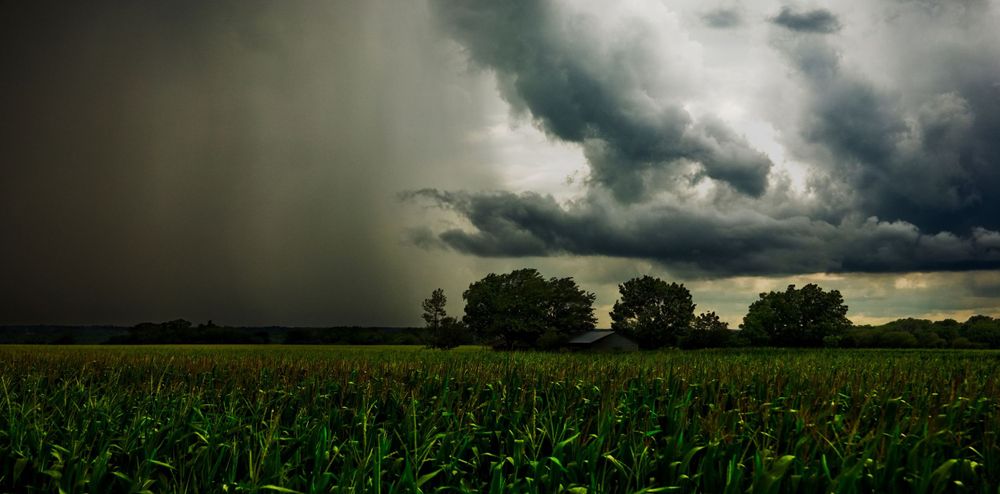 A severe thunderstorm moves over a small farmhouse that sits in the middle of a corn field in Avalon, Texas