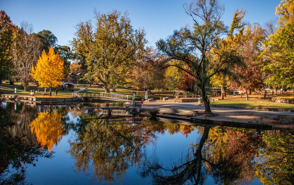 Autumn trees reflect in a calm pond with golden foliage and a scenic park pathway.