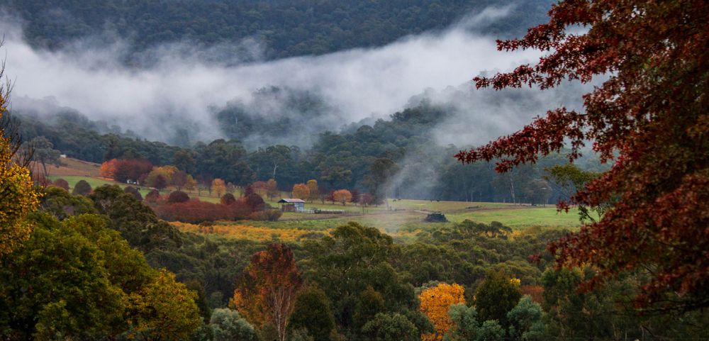 Misty autumn landscape with colorful trees and rolling hills under cloudy skies.
