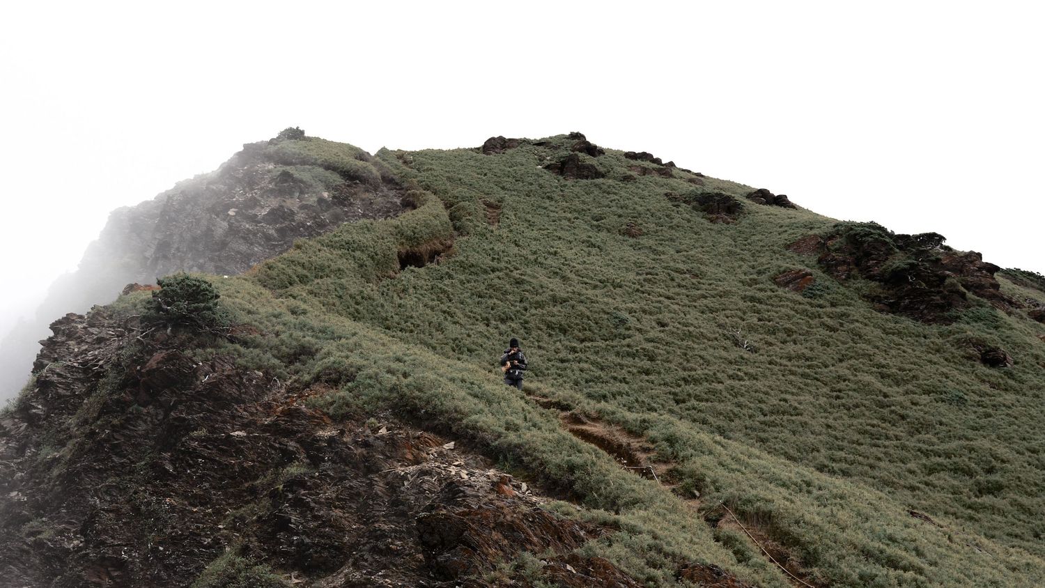 山景照