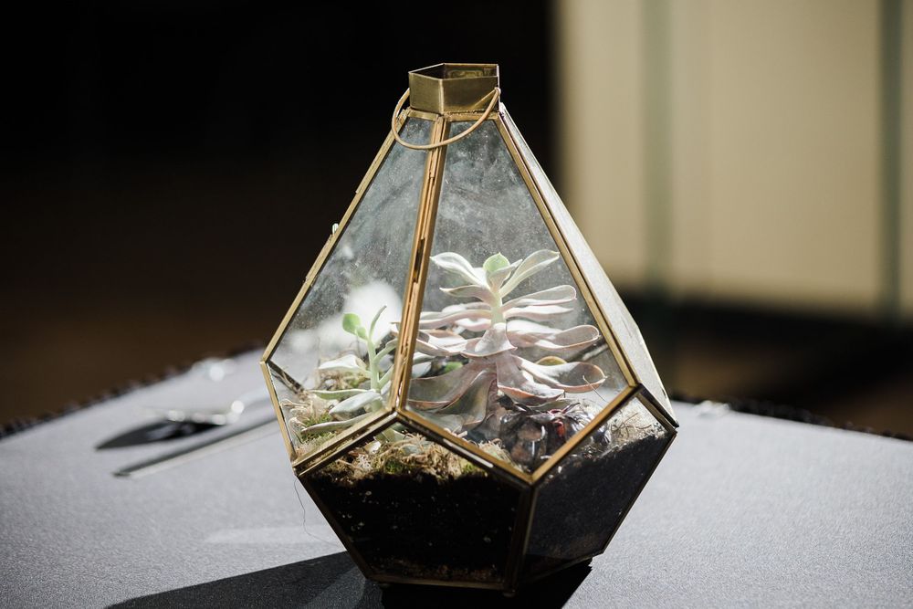Wedding decoration of terrarium with succulents by Hudson Valley wedding photographer