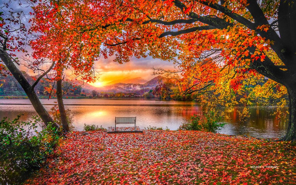 CarolinaPhotoArt.com- Up to 50% Off Gallery Prints - Lake Junaluska, NC. - Bench of Solitude in Fall
