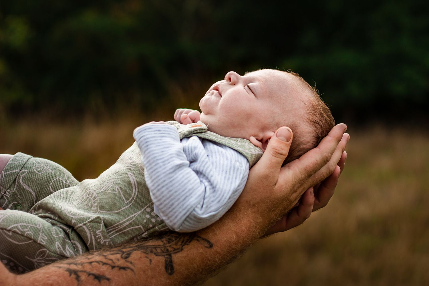 In a field in Havant, Hampshire, a new dad holds his sleeping newborn in his hands.