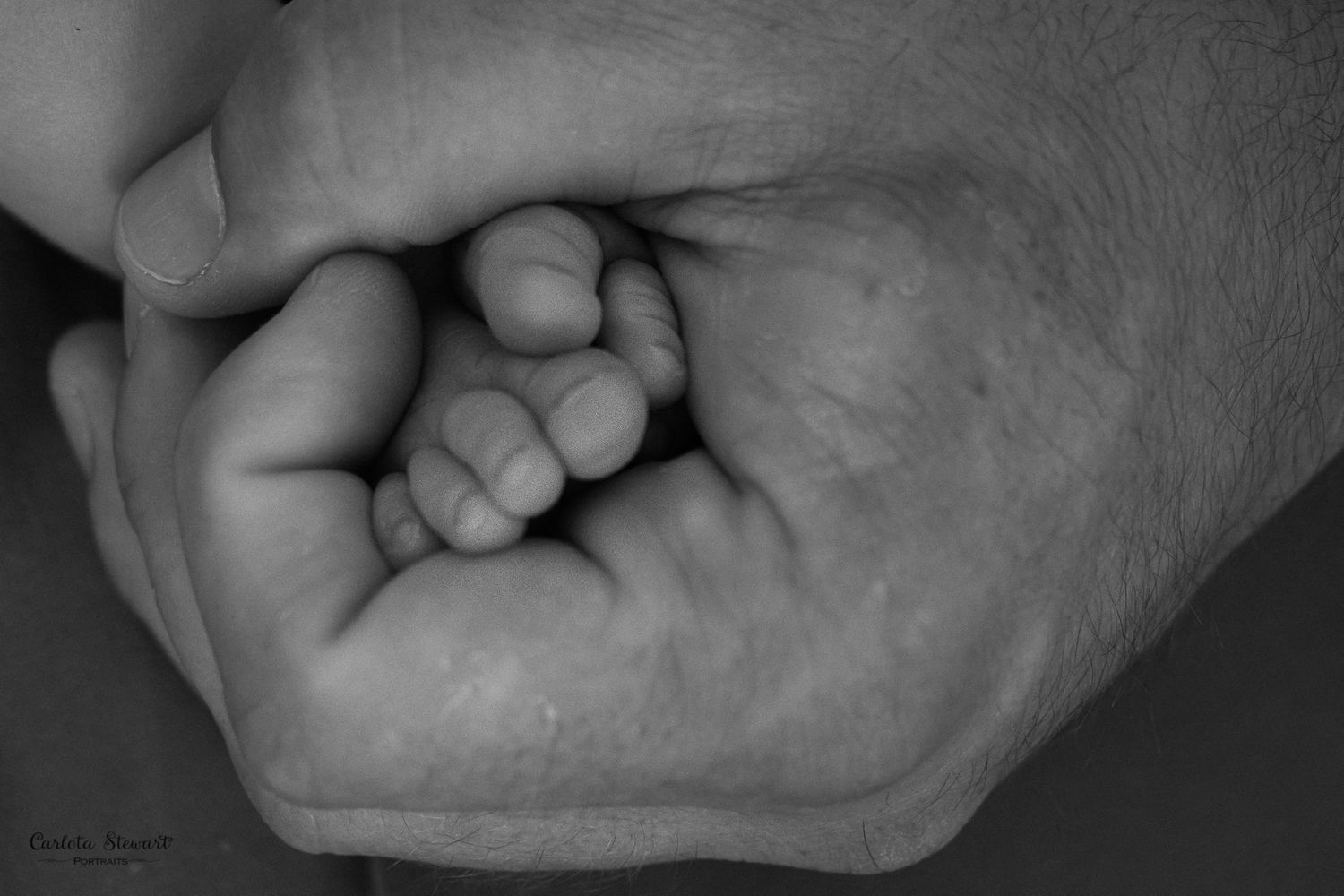 Newborn Photography Austria - Carlota Stewart