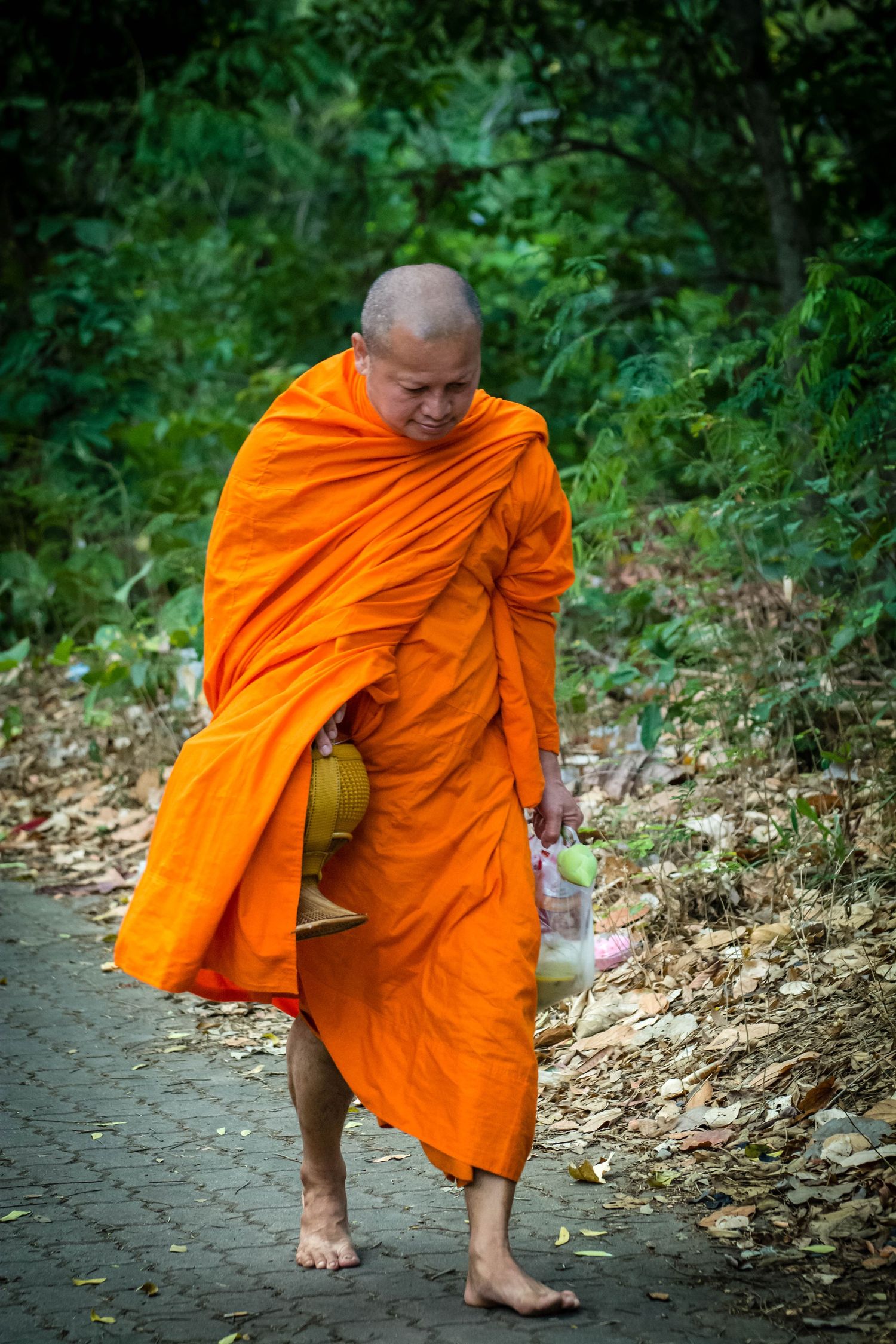 Environmental portrait of forest monk walking