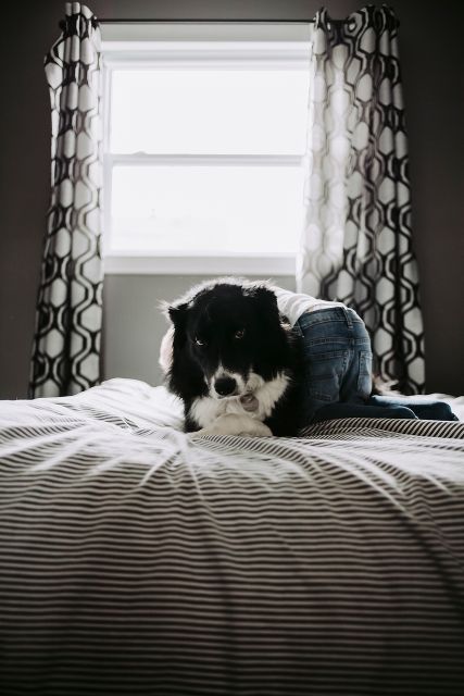 Lifestyle Documentary Family Session
