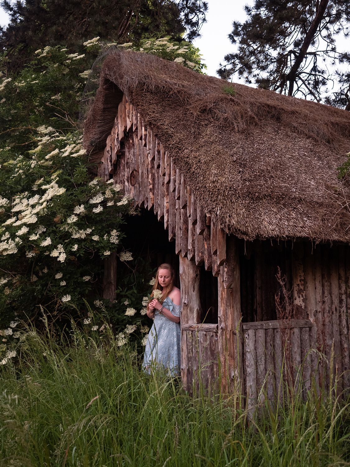 A young woman stands in the doorway of an old wooden shepherds hut holding a flower