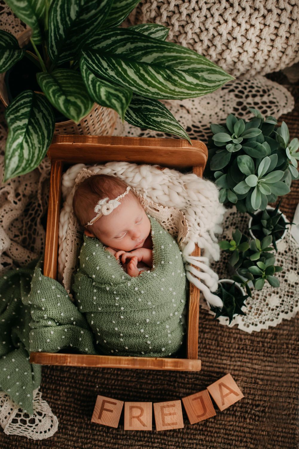 newborn
