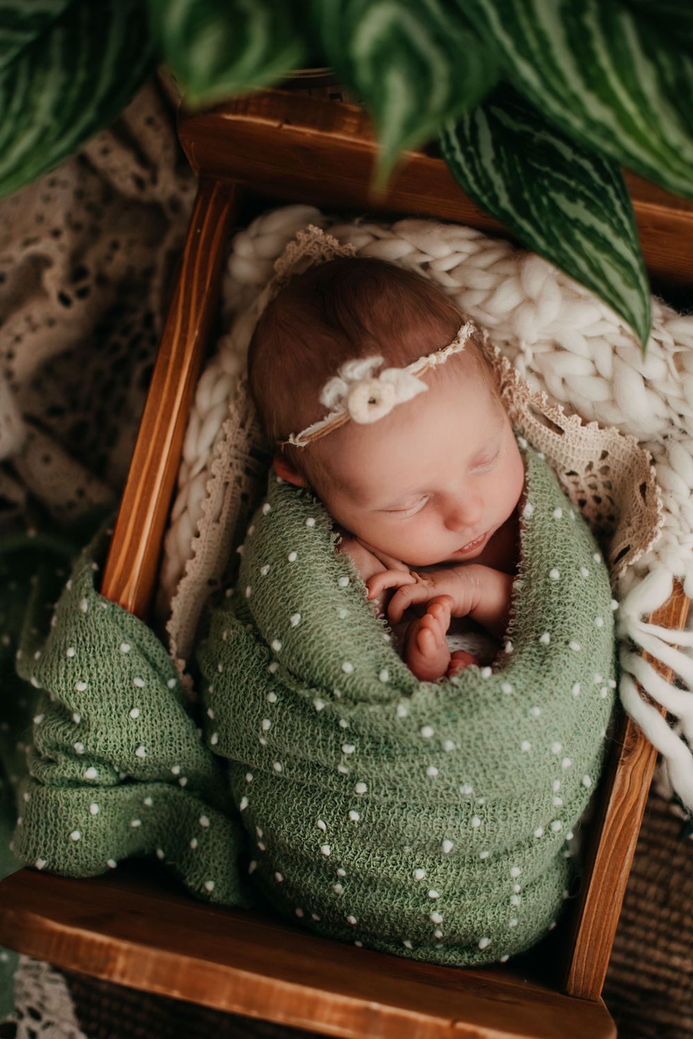 newborn