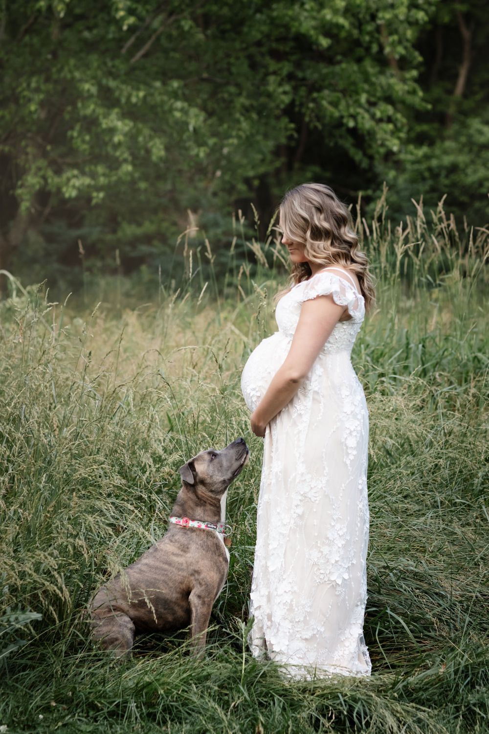 Pregnant woman in white lace dress stands in field with dog looking up at her.