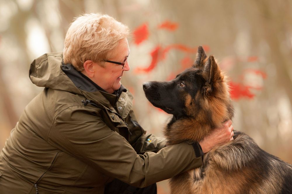 Hondenfotograaf - hondenportret - hond met baas - Noord Brabant