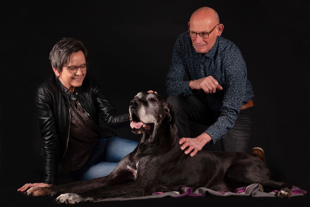 Fotoshoot van of samen met je hond? Neem dan snel eens een kijkje in mijn portfolio. Hondenfotograaf Miriam van Lokven