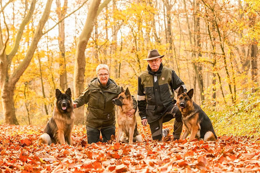 Kerstkaart met honden - website foto's Kennel van de Berkthoeve te Heesch
