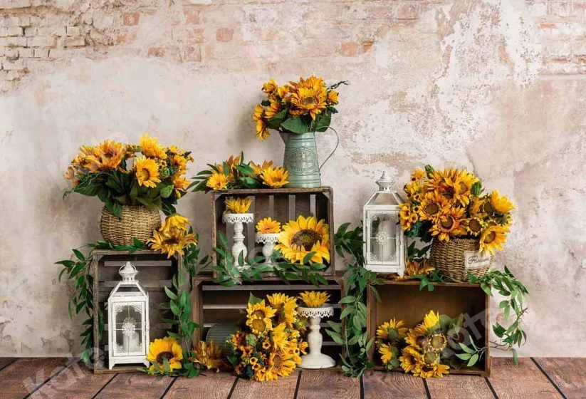 Rustic display of sunflowers in lanterns arranged on wooden crates against a textured wall.