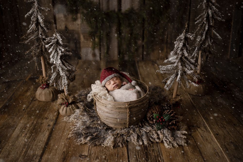 Christmas Newborn