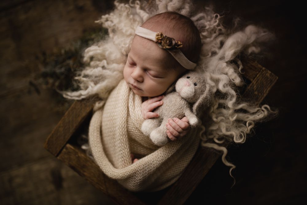 Newborn Photographer