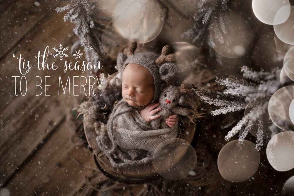 Newborn Photography
