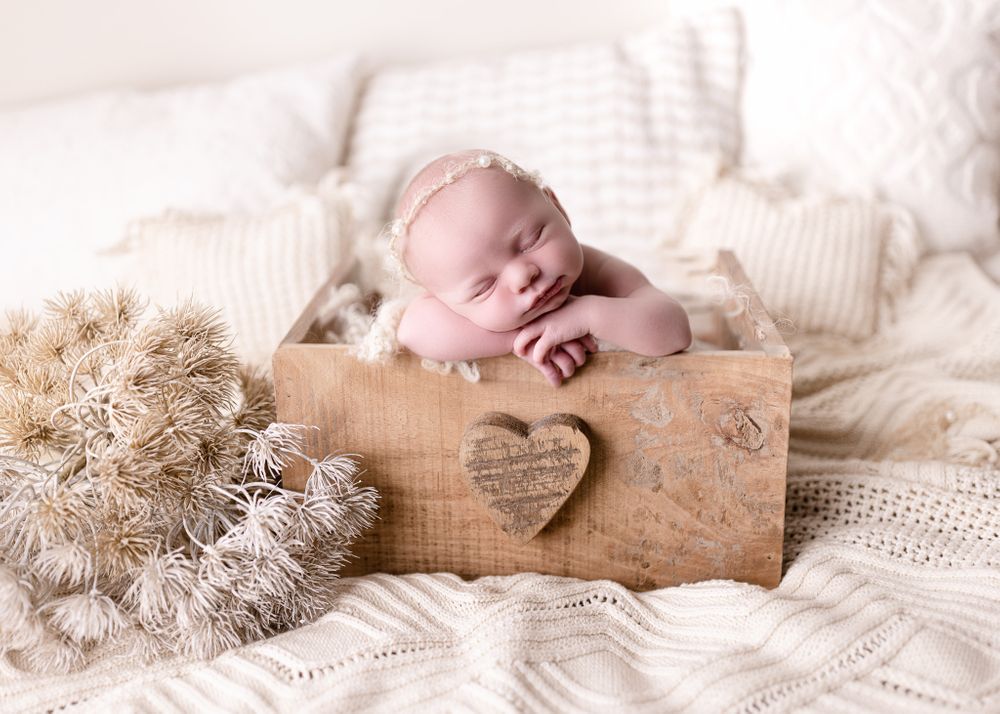 Newborn Photographer