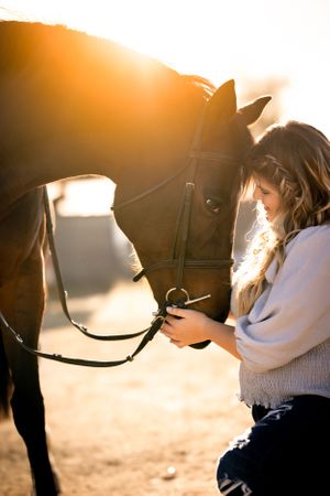 golden hour sunset sun flare photos horse and rider portrait session senior photos bond connection