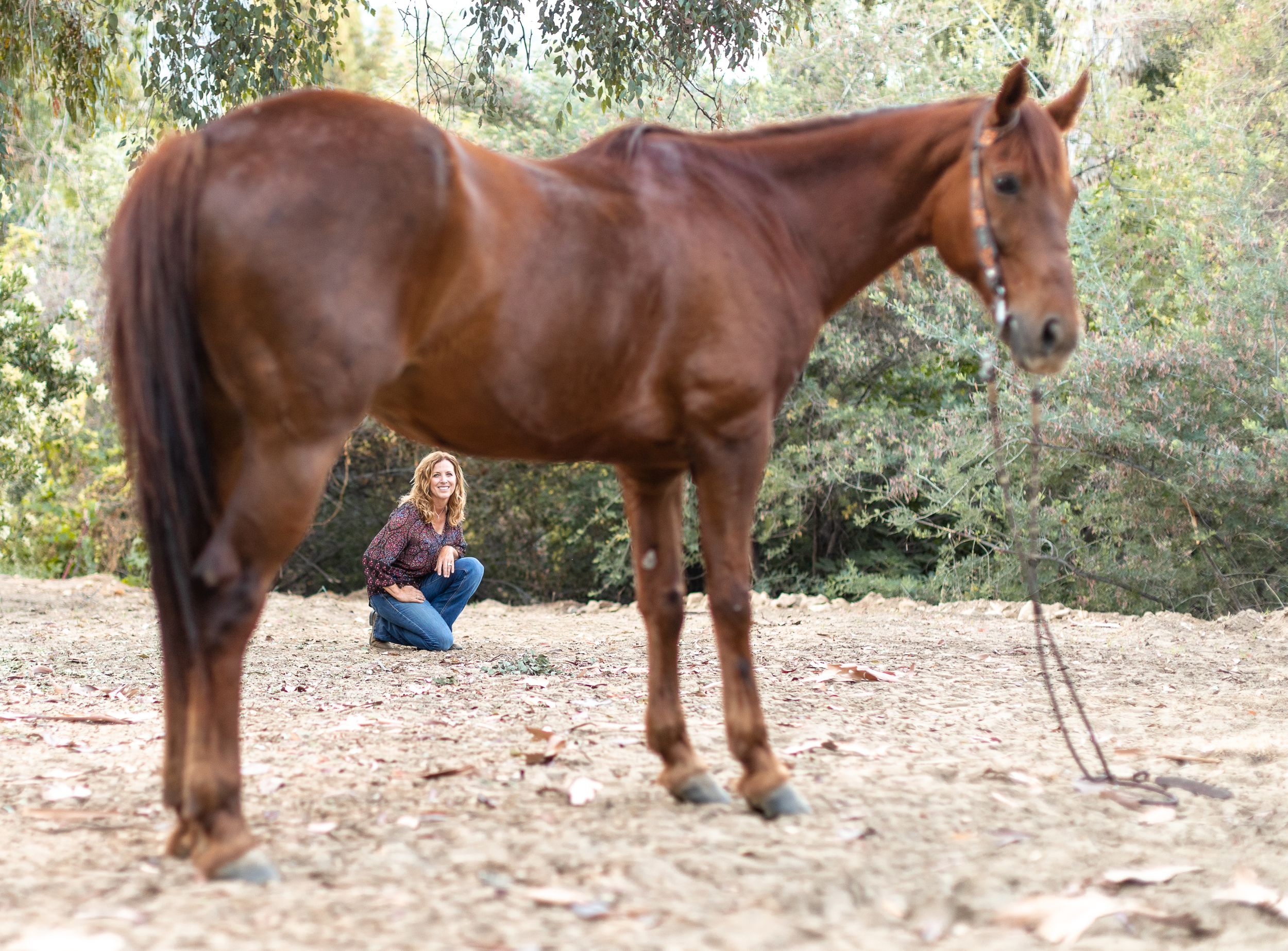 Cool horse picture of a woman sitting beneath her horse