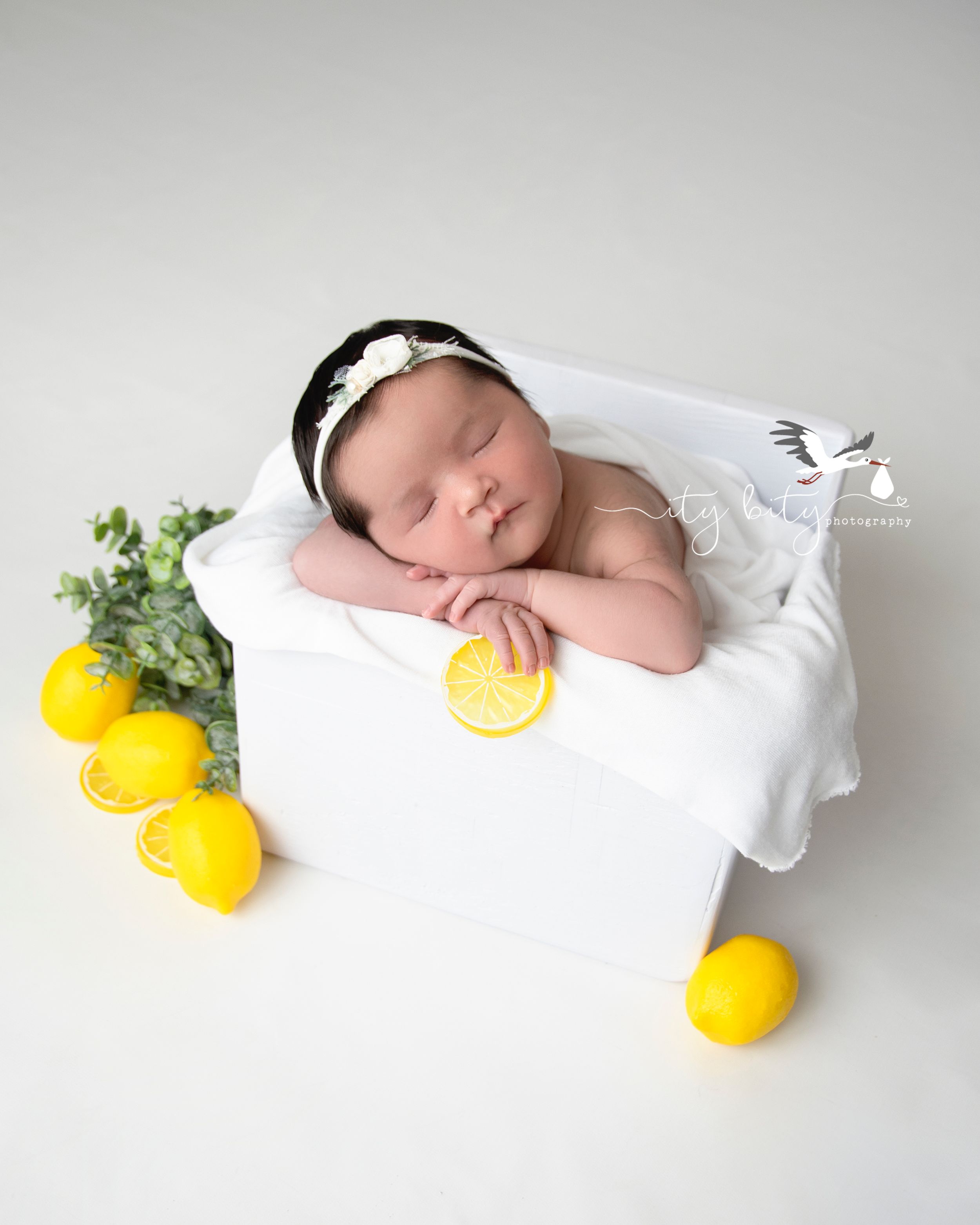 Lemon Newborn Baby Girl Photography Photoshoot Avon Ohio