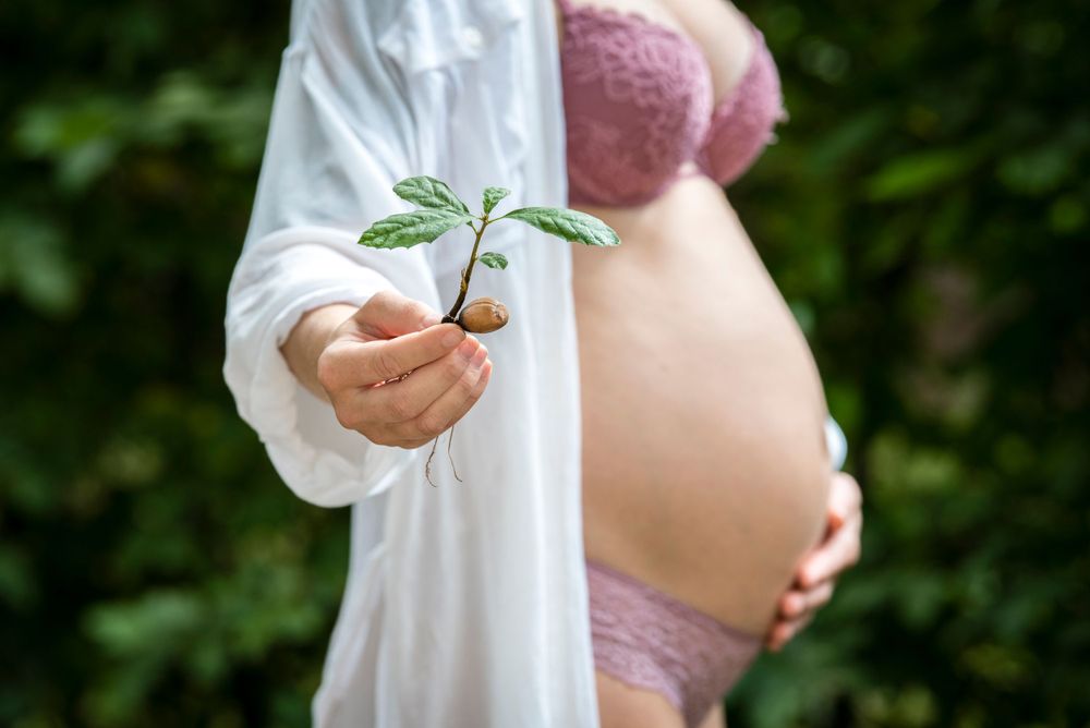 Gravidfotografering med ett ekollon i förgrunden