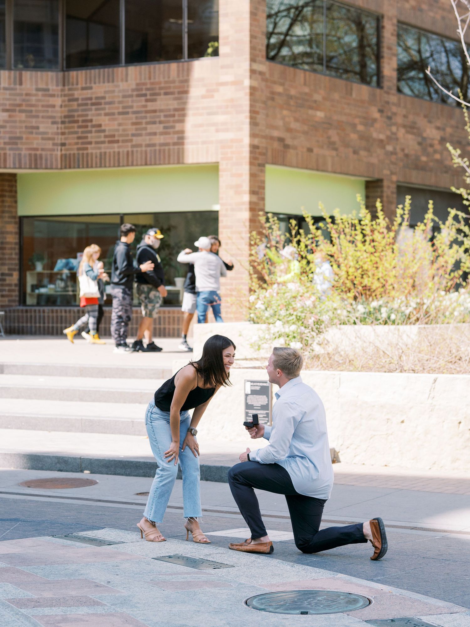 Iowa City, Iowa proposal in downtown Iowa City at the ped mall