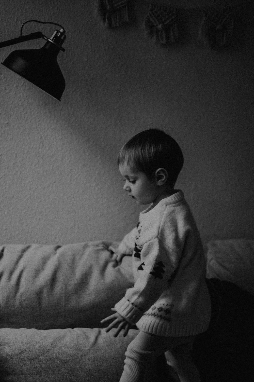 Familienfotograf Dresden