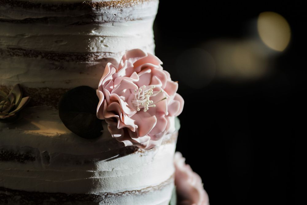 Closeup of naked wedding cake with succulents and cactus flowers by Hudson Valley photographer