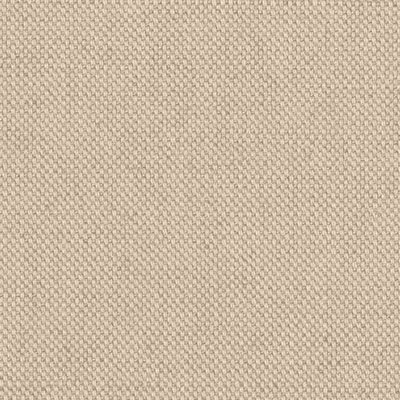 Cream Cotton Fabric Colour Swatch