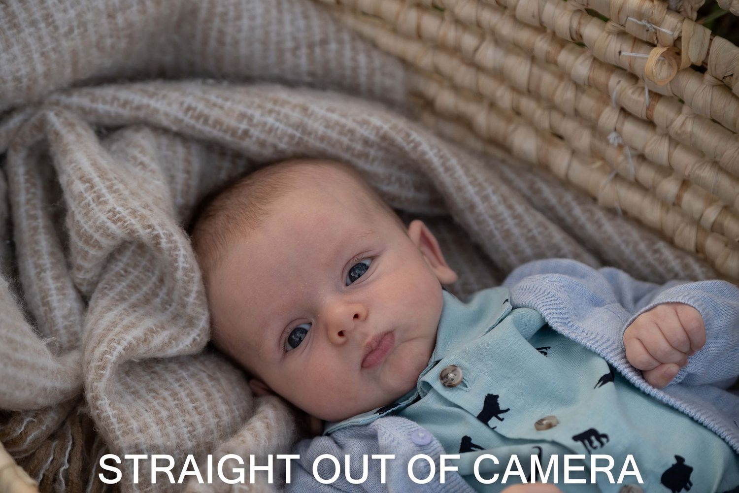 Straight out of camera image by Melbourne outdoor family photographer Kate Cashin