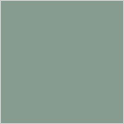 sage green eco leather album colour swatch