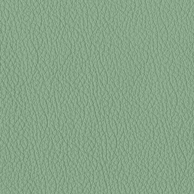 sage green original leather album colour swatch