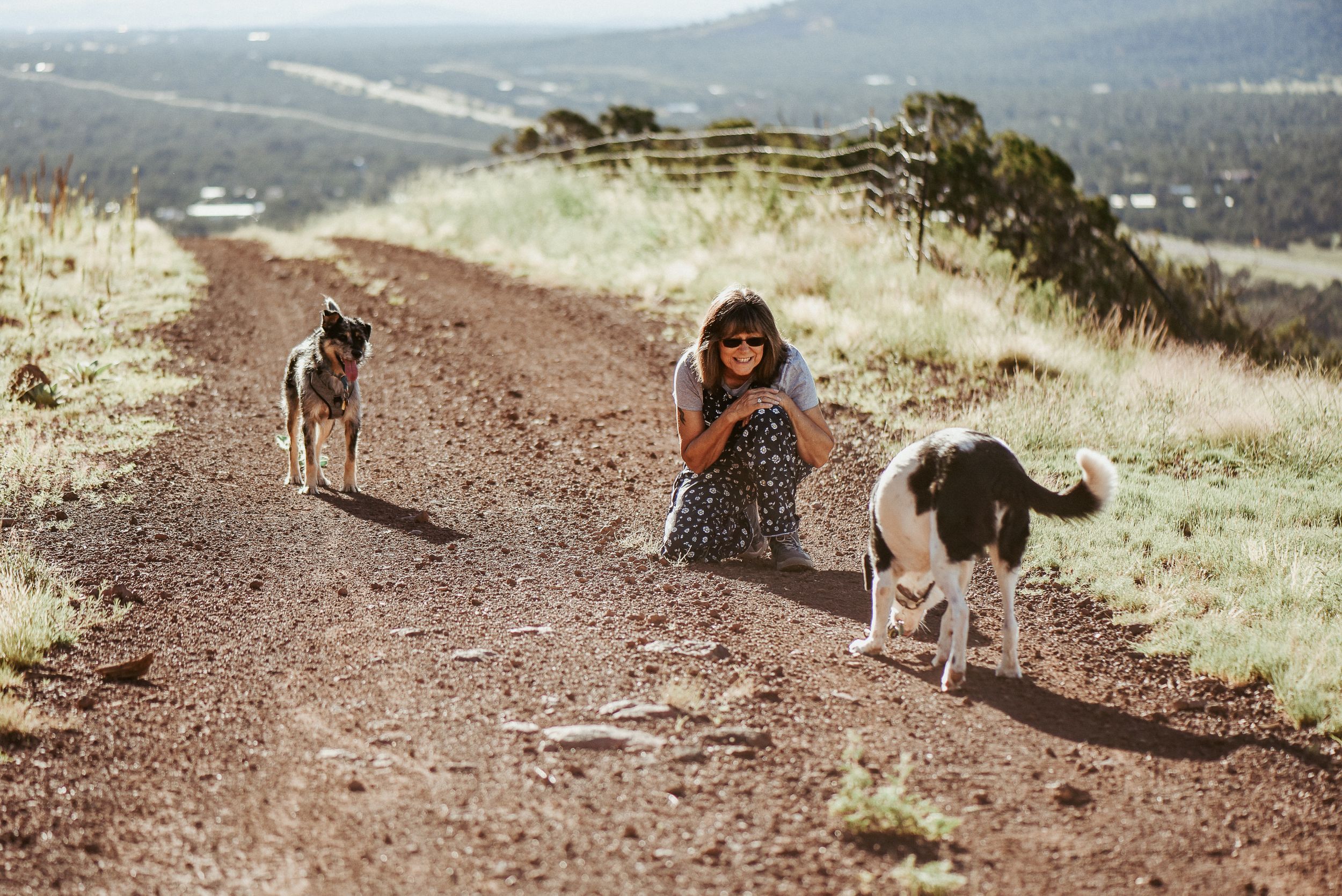 puppies, adult dogs, senior dogs in and around the White Mountains of AZ