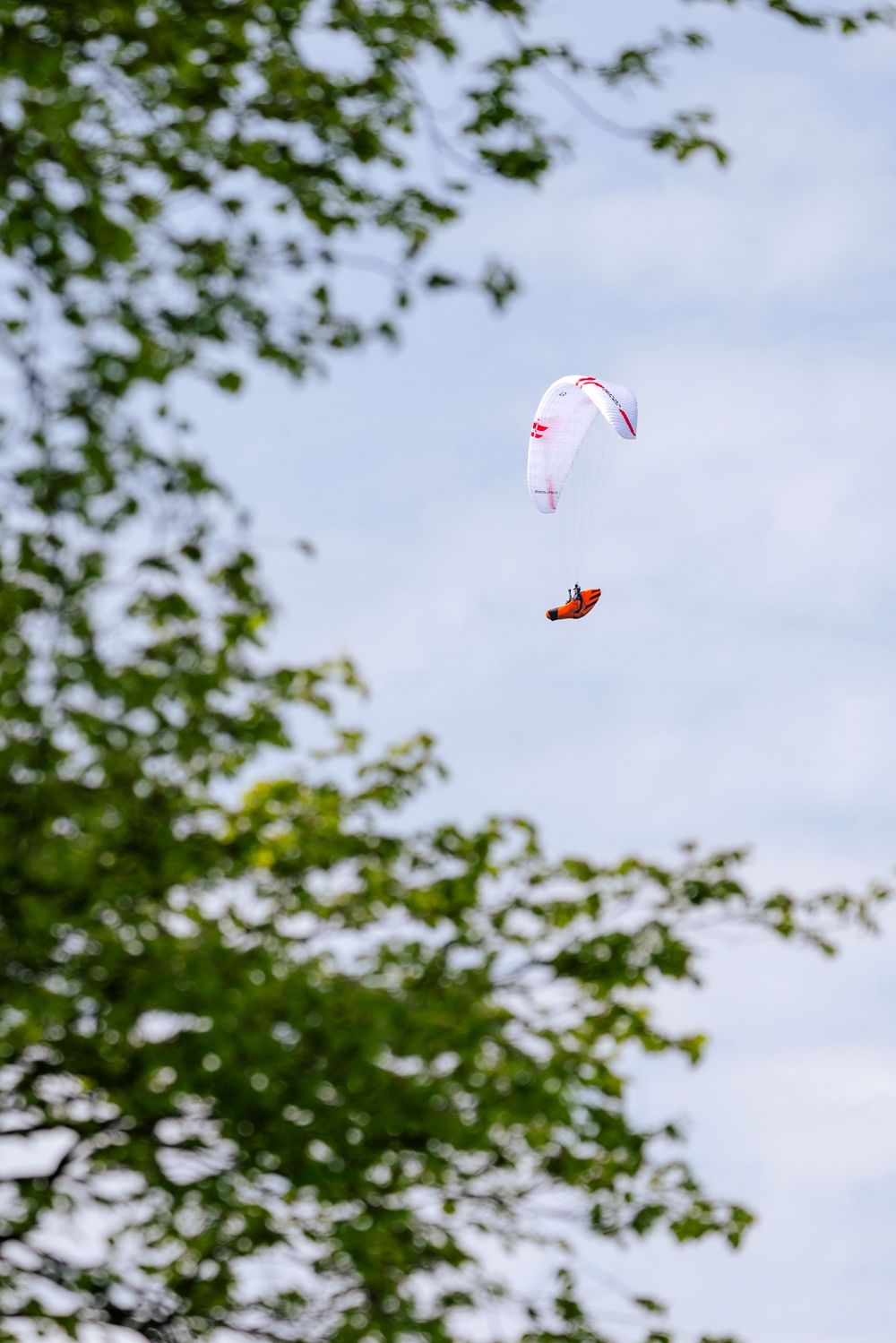 White paraglider soaring against cloudy sky with green tree branches framing the view.