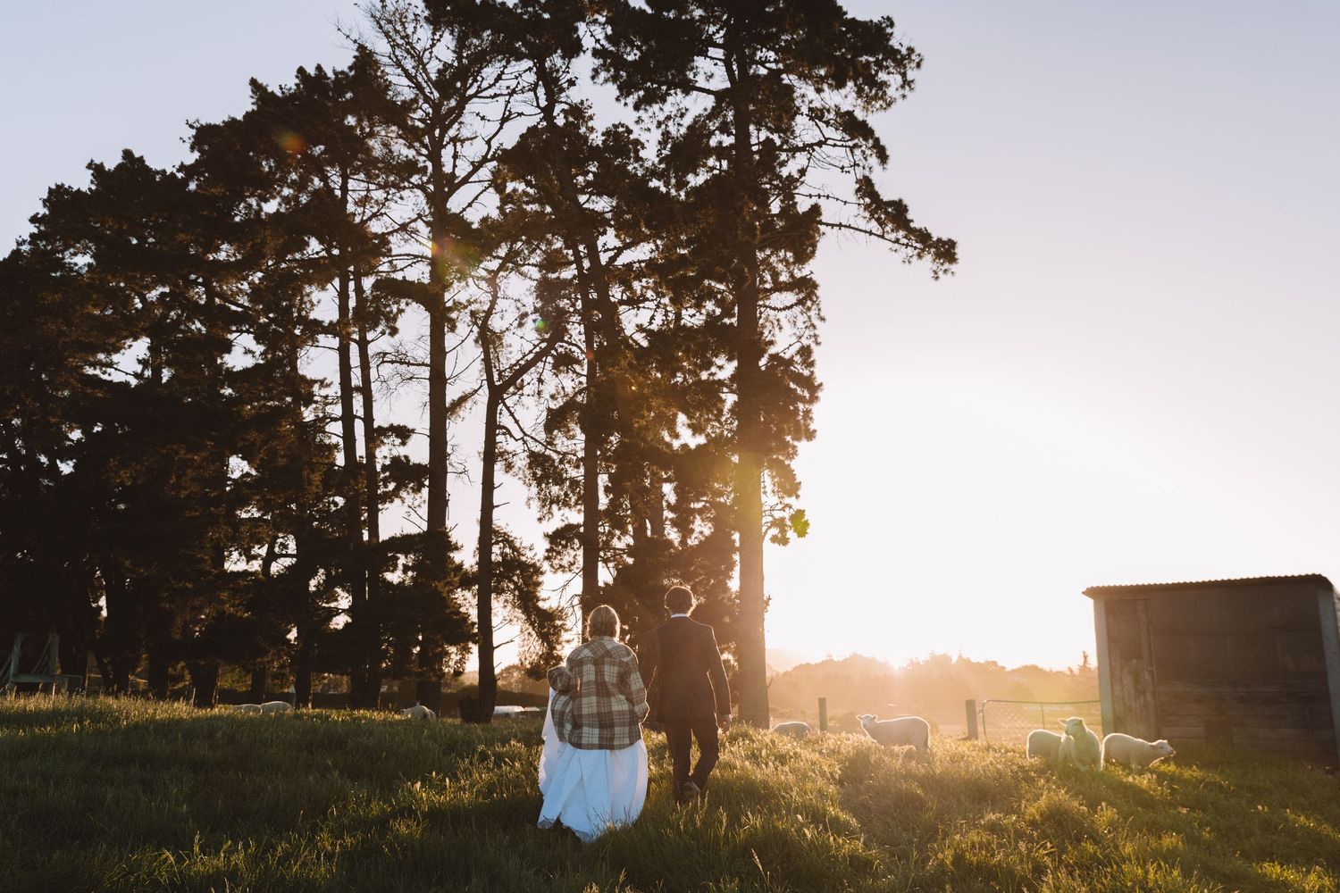 Silhouetted couple embracing at sunset among tall pine trees.