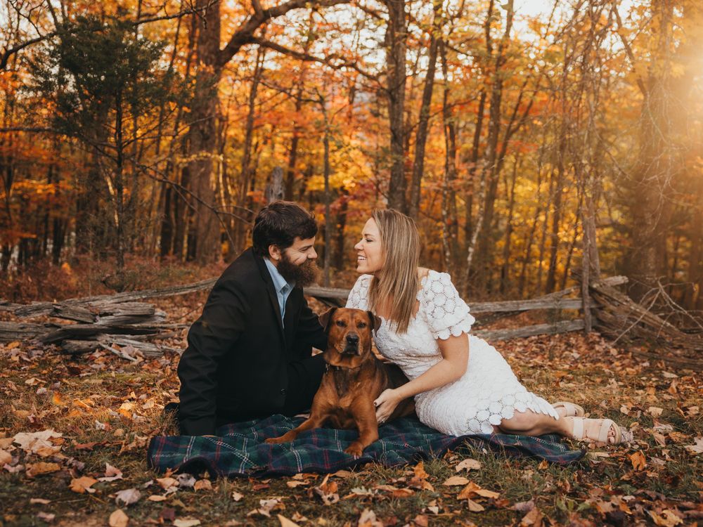 A couple with their dog enjoys an autumn picnic surrounded by golden fall foliage.