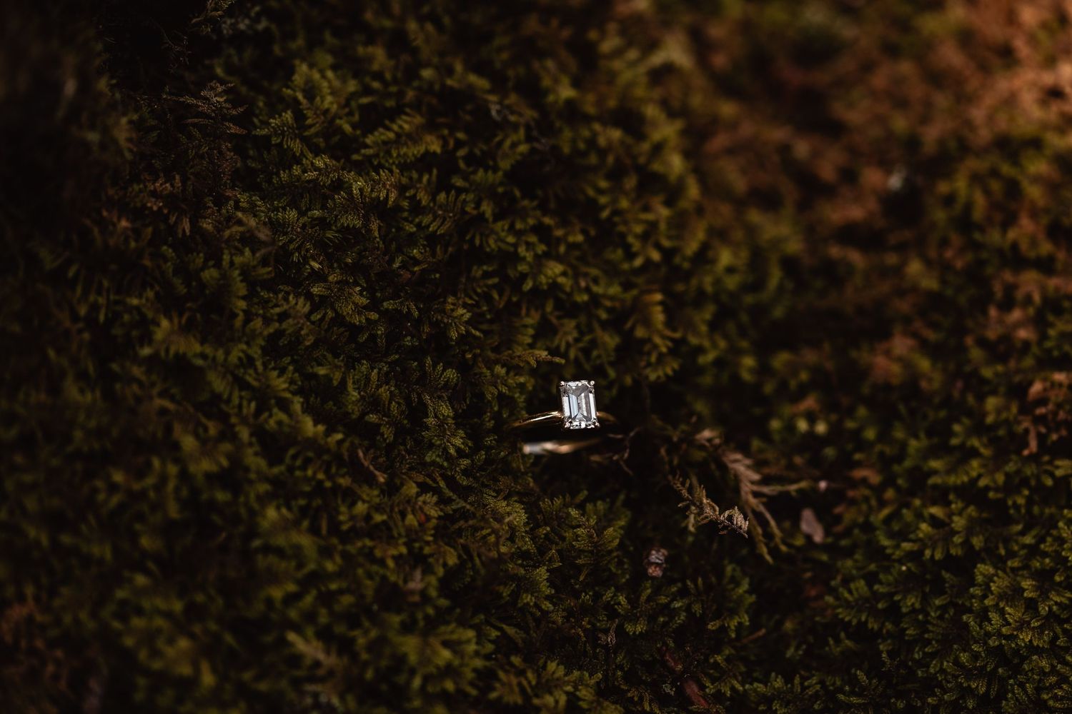 engagement ring in moss at Coopers Rock State Park WV