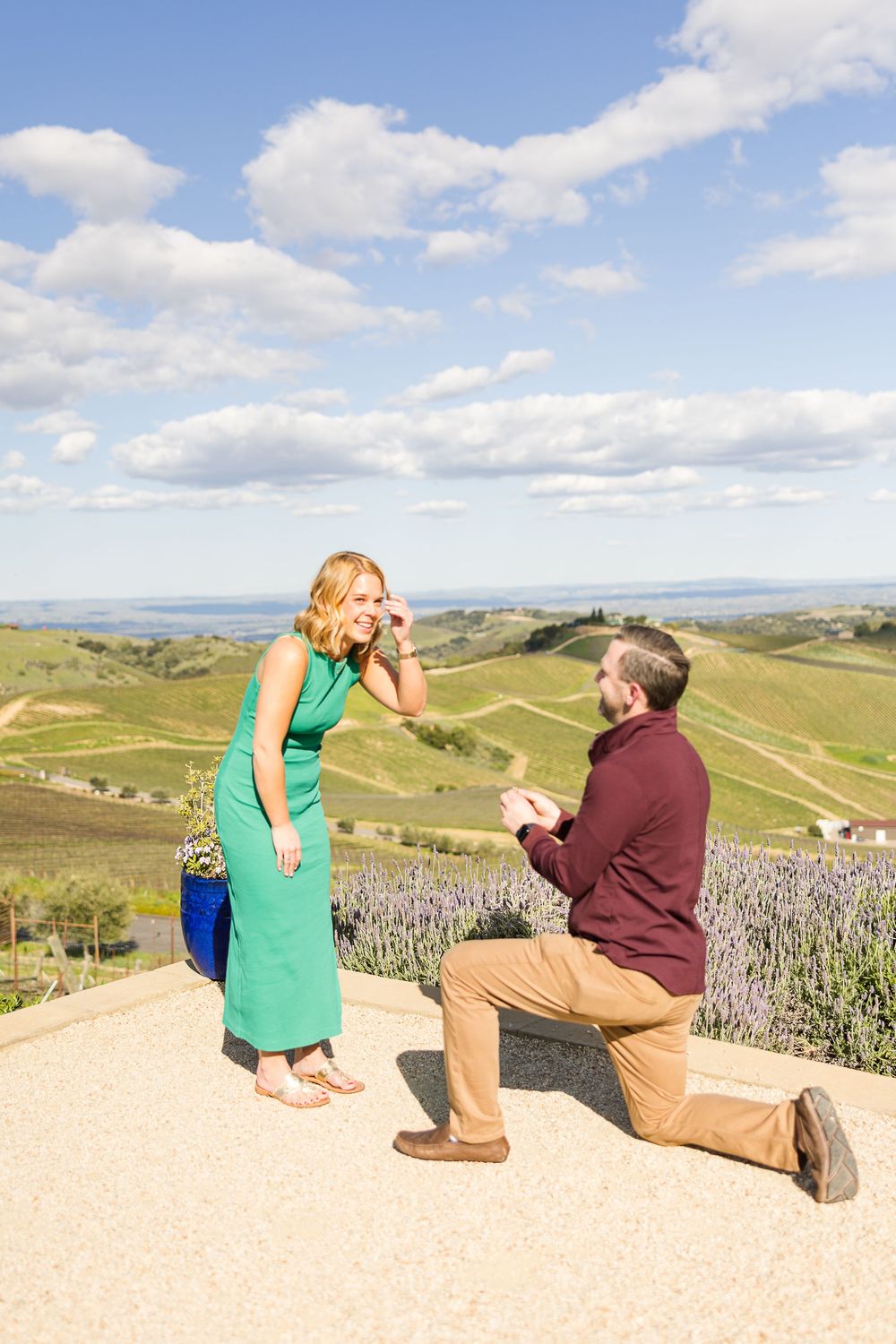 A proposal moment captured on a scenic hilltop with rolling vineyards and blue skies in the background.