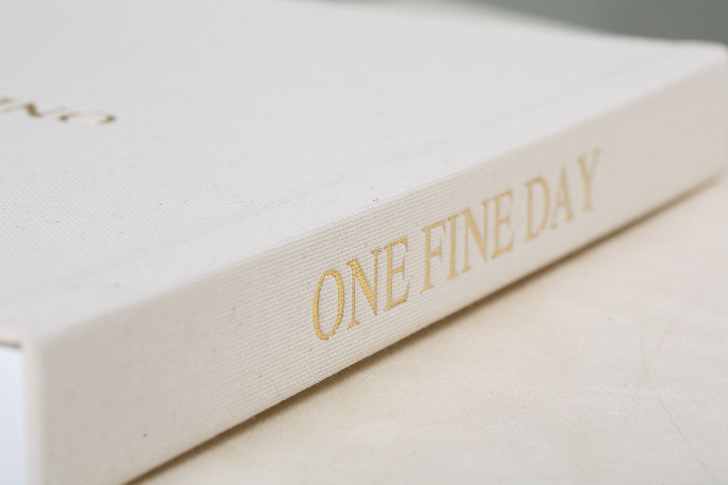 Close-up view of a white book spine with gold text reading 'ONE FINE DAY'.