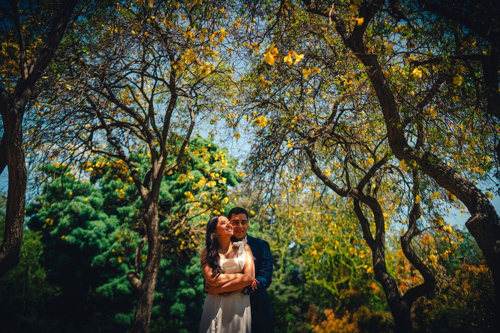 A couple enjoys a romantic autumn moment surrounded by golden fall foliage in a park setting at the Los Angeles County Arboretum