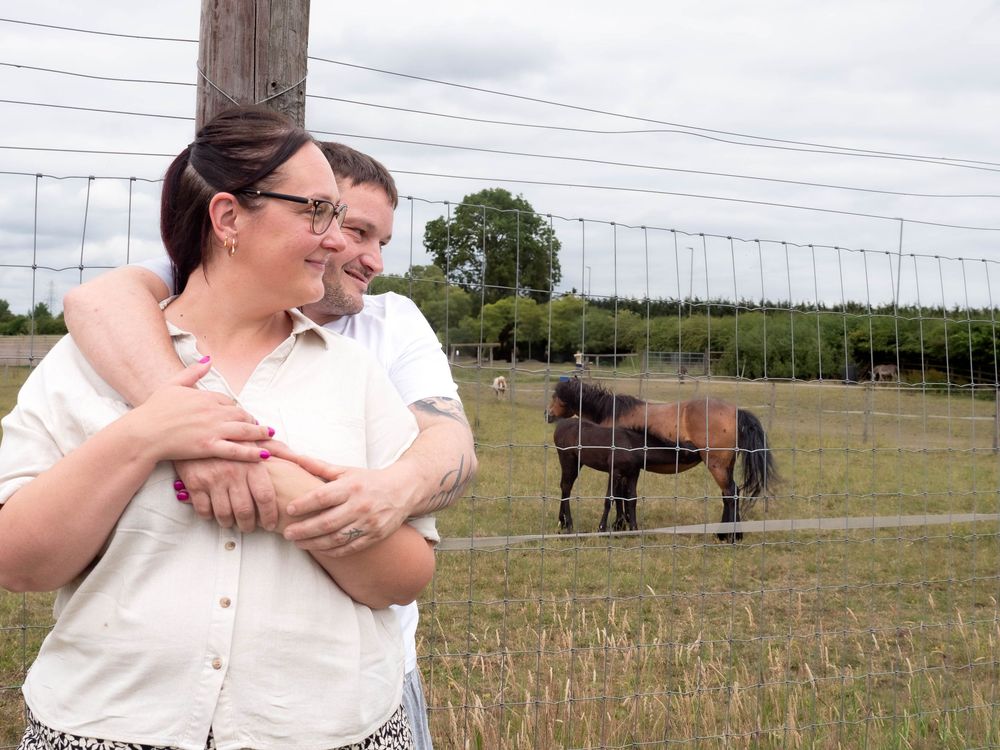 Derby secure field engagement shoot with children and dog