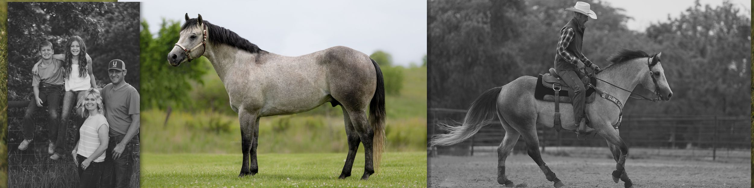 Three vintage equestrian photographs showing people outdoors with horses during different time periods.