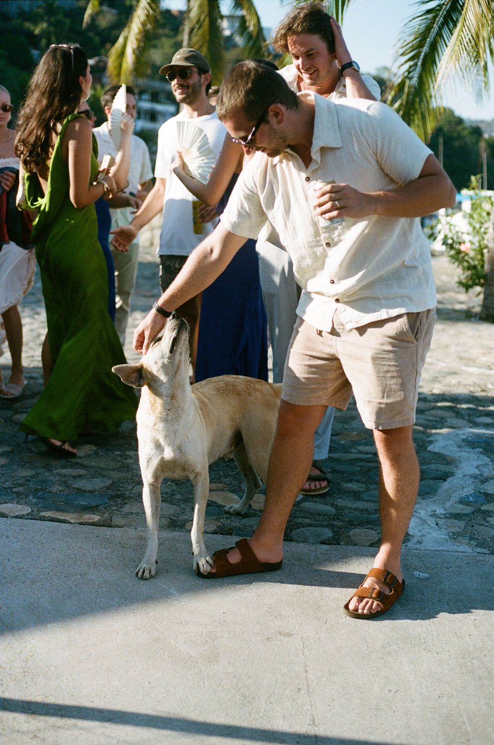 People petting a friendly white dog on a sunny tropical pathway.