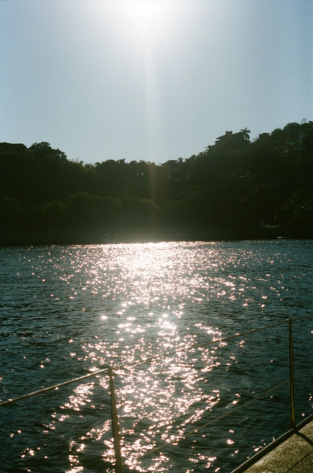 Sunlight sparkling on ocean waters with silhouetted trees along the shoreline.