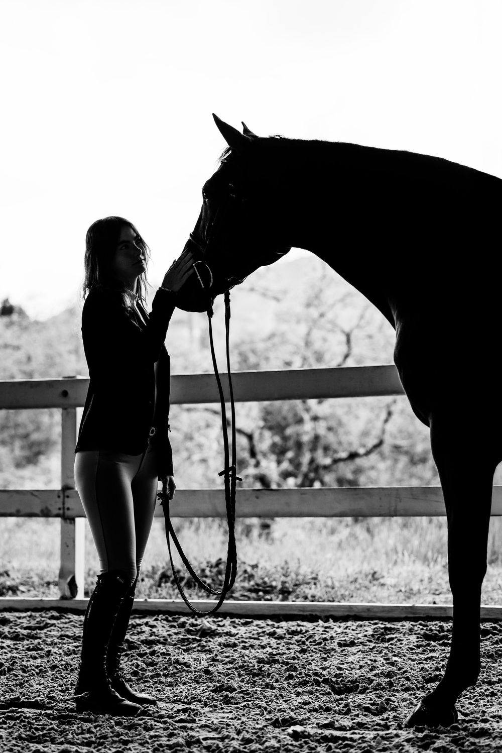 Silhouette of a person and horse sharing a quiet moment against a bright background by a fence line.