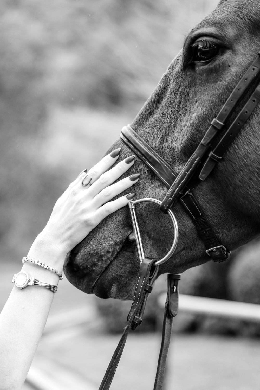 A gentle hand reaches out to touch a black horse wearing a bridle in this intimate black and white photograph.