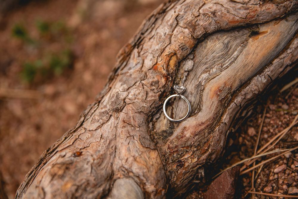 A silver wedding ring rests on a weathered tree branch with gnarled bark texture and earthy tones in the background.