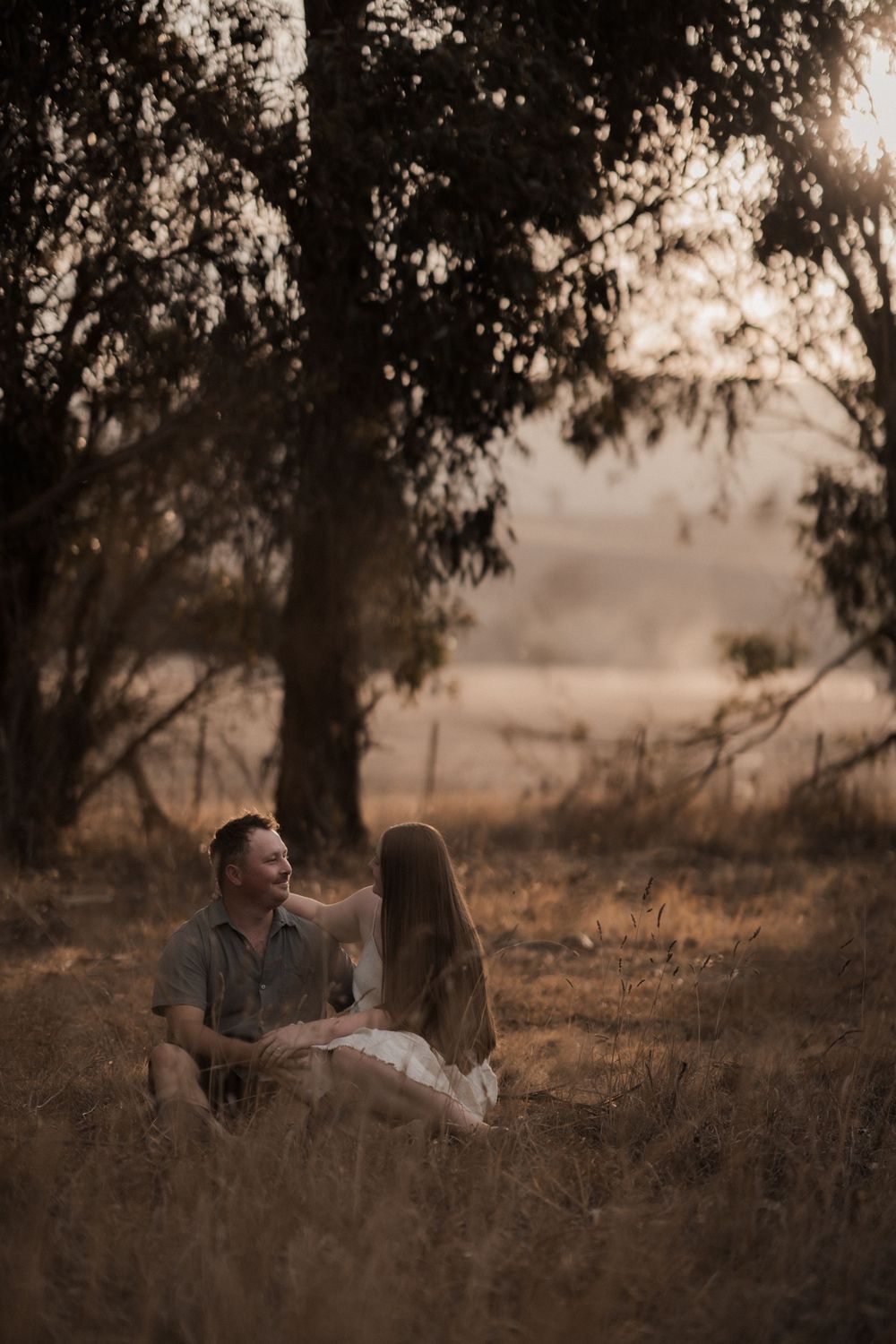 A couple sits together in a golden field at sunset, surrounded by tall trees casting dramatic shadows.