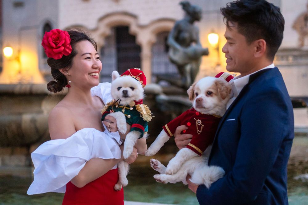 Couple in wedding attire holds small white dogs wearing formal outfits by illuminated fountain at dusk.